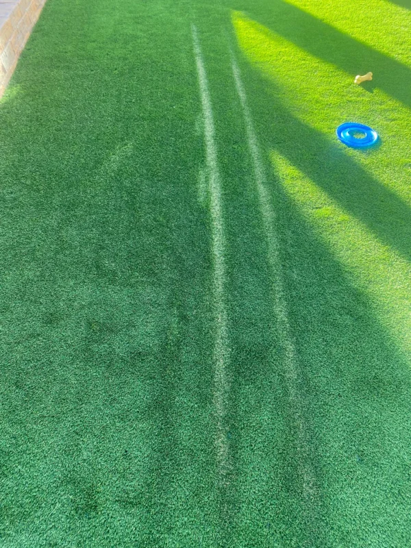 burned-artificial-grass-v0-c8yozfp2f8kc1